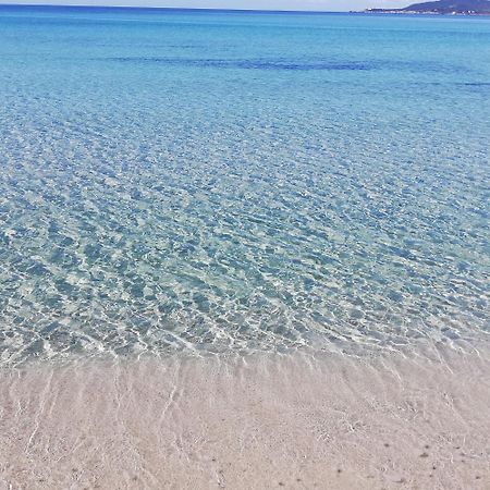 Bed and Breakfast L'Anfora Alghero Zimmer foto